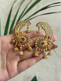 APARNA Kanphool